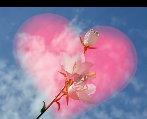 Glücklichsein lernen