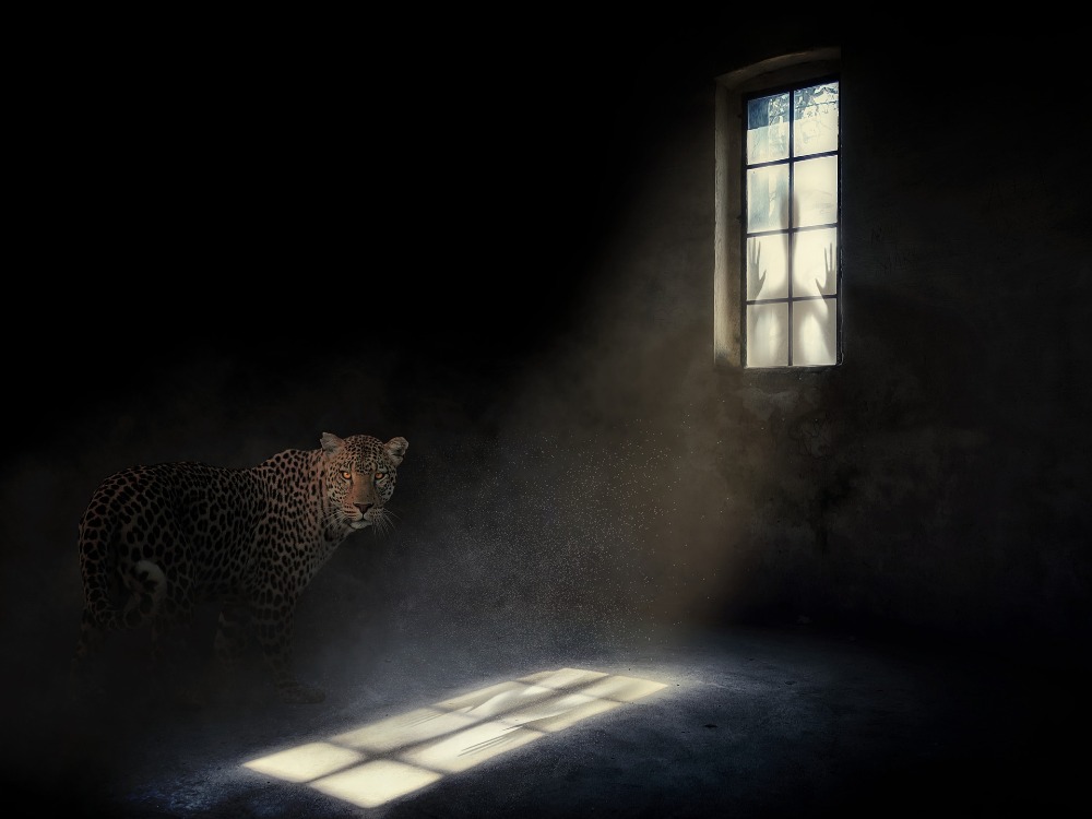 https://pixabay.com/de/photos/dunkel-fenster-licht-stimmung-5047523/ Selbsstsabotage